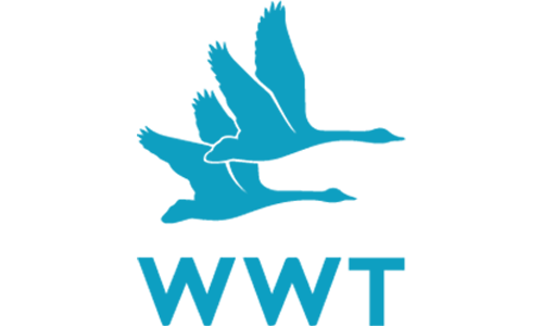 WWT