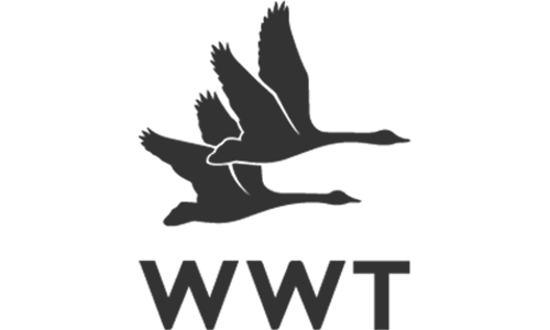 WWT